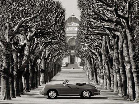 Roadster in Tree Lined Road, Paris (BW) by Gasoline Images art print