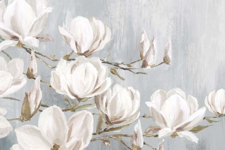 White Magnolia by Eva Watts art print