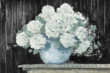 White Hydrangea on Black Crop by Carol Rowan art print