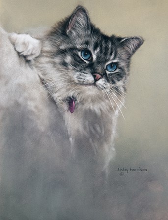 Sapphires and Whiskers by Lesley Harrison art print