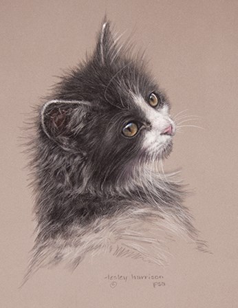 Pretty Kitty by Lesley Harrison art print
