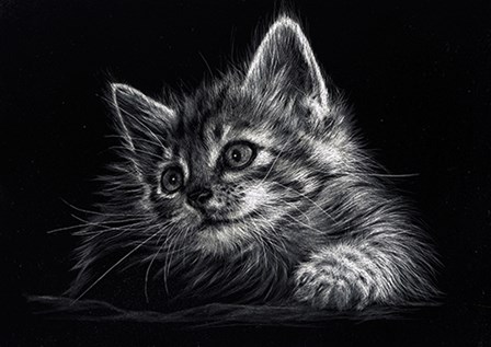 Kitten by Lesley Harrison art print