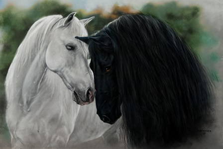 Black and White by Lesley Harrison art print