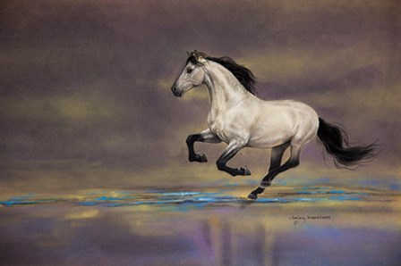 Suzanne&#39;s Tuno by Lesley Harrison art print