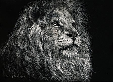 African Lion by Lesley Harrison art print