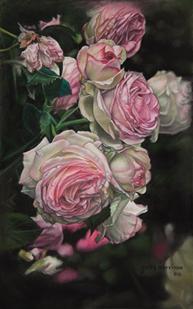 Roses from Pat by Lesley Harrison art print