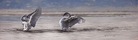 Dance of the Swans by Lesley Harrison art print