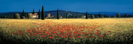 Tuscan Panorama - Poppies by David Short art print