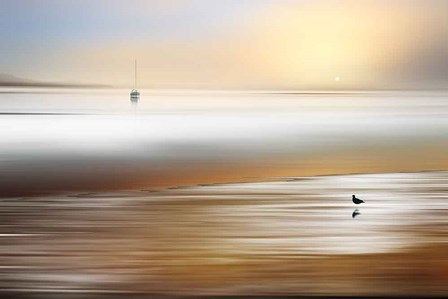 Silent Pause by Marvin Pelkey art print