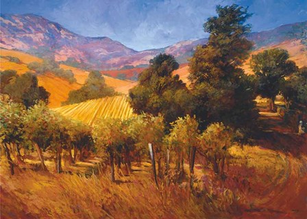 Southern Vineyard Hills by Philip Craig art print