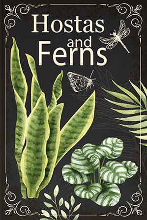 Hostas and Ferns by ND Art &amp; Design art print