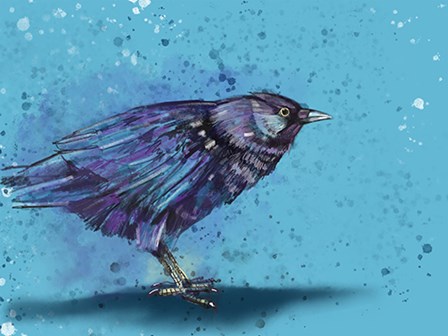 Bird by Stuart Roy art print