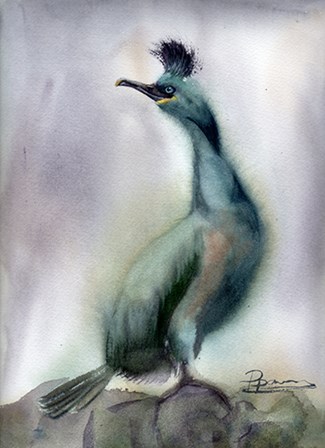 Bird on Rock by Olga Shefranov art print