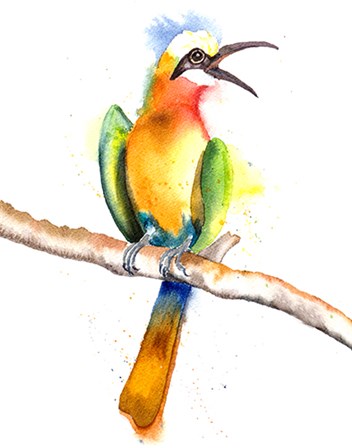 Tropical Bird II by Olga Shefranov art print