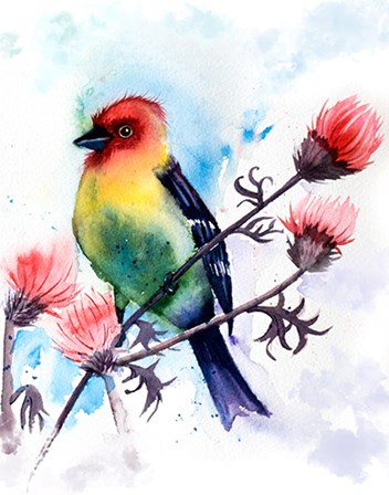 Tropical Bird III by Olga Shefranov art print