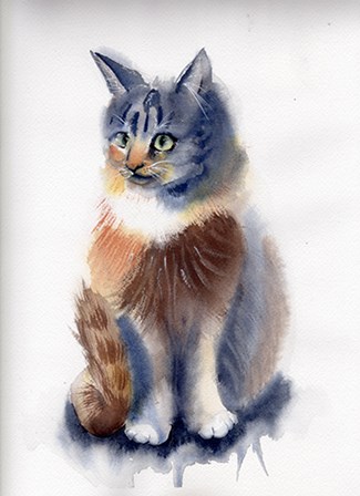 Cat by Olga Shefranov art print