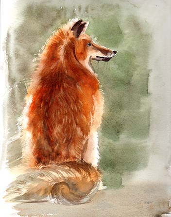 Fox by Olga Shefranov art print