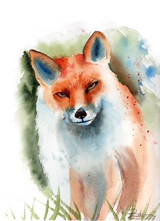 Fox II by Olga Shefranov art print