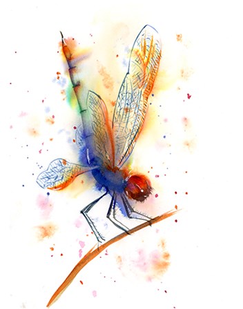 Dragonfly II by Olga Shefranov art print