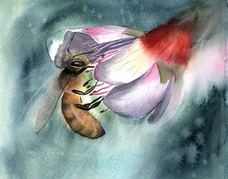 Bee III by Olga Shefranov art print