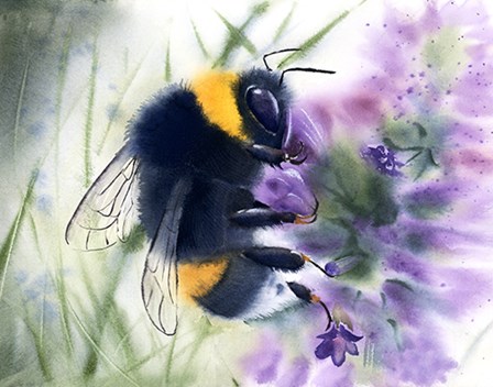 Bee IV by Olga Shefranov art print