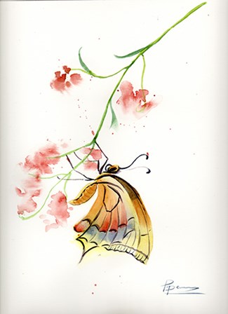 Butterfly II by Olga Shefranov art print