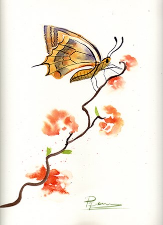 Butterfly III by Olga Shefranov art print