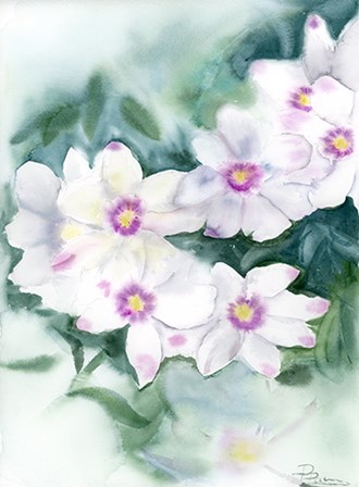 Purple Flowers by Olga Shefranov art print