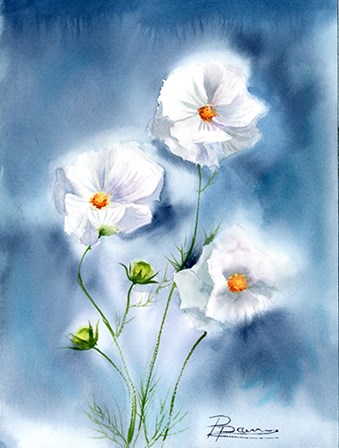 White Flowers by Olga Shefranov art print