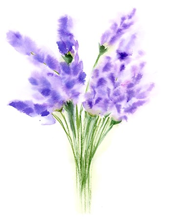 Purple Flowers IV by Olga Shefranov art print