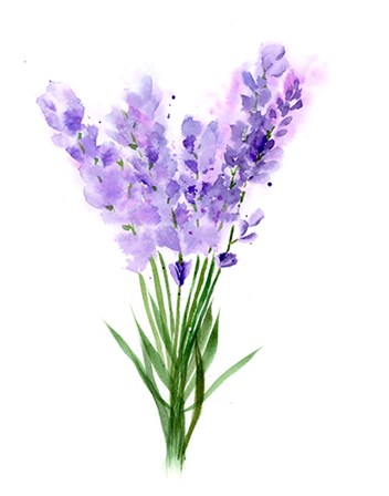 Purple Flowers V by Olga Shefranov art print