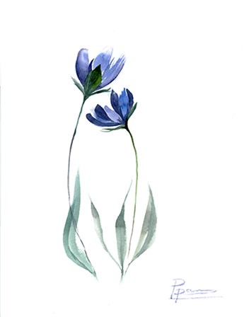 Blue Flowers by Olga Shefranov art print