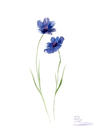 Blue Flowers II by Olga Shefranov art print