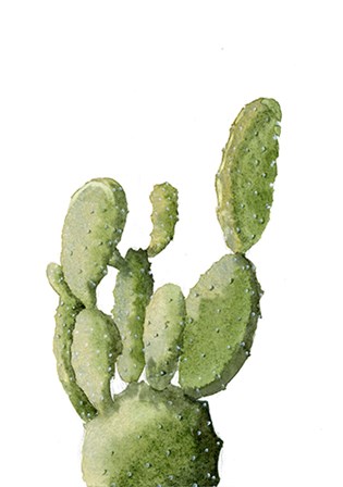 Cactus by Olga Shefranov art print