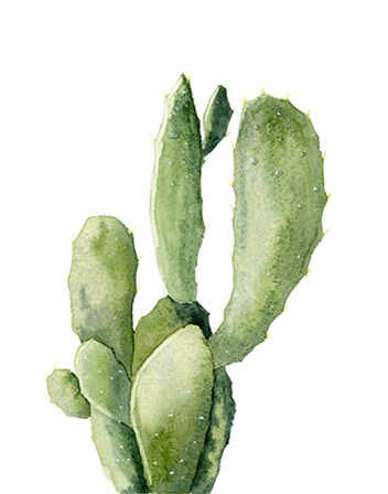 Cactus II by Olga Shefranov art print
