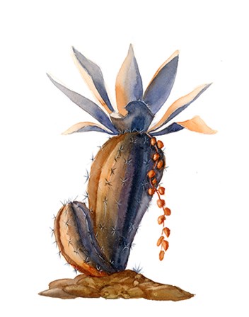 Cactus V by Olga Shefranov art print