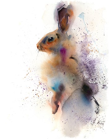 Bunny by Olga Shefranov art print