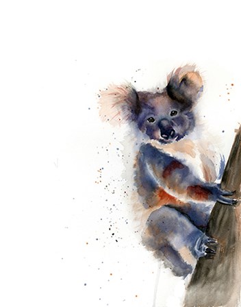 Koala by Olga Shefranov art print