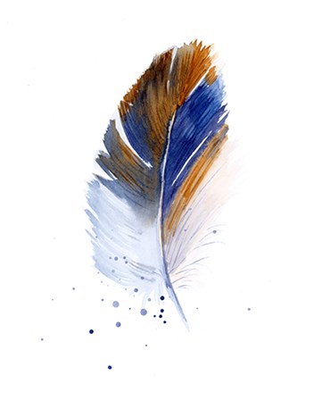 Feather by Olga Shefranov art print