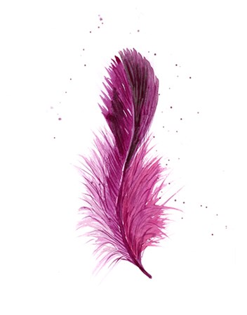 Pink Feather by Olga Shefranov art print