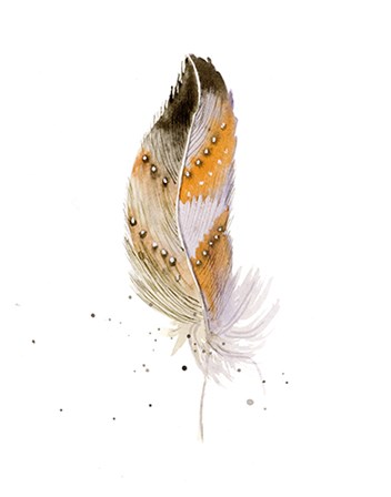 Feather II by Olga Shefranov art print
