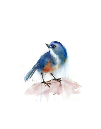 Blue Bird by Olga Shefranov art print