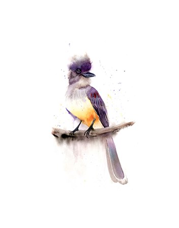 Gray Bird by Olga Shefranov art print