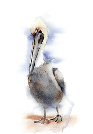 Pelican II by Olga Shefranov art print