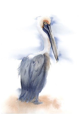 Pelican III by Olga Shefranov art print