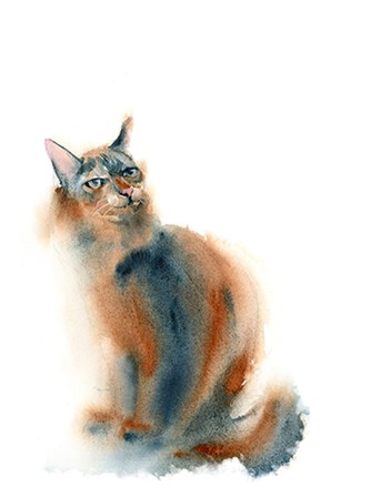 Ginger Cat by Olga Shefranov art print