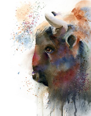 Buffalo by Olga Shefranov art print
