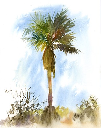 Palm Tree by Olga Shefranov art print