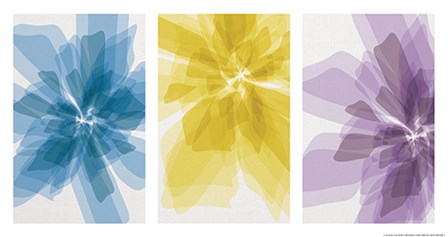 Three X-Ray Flowers by Yellow Caf&#233; art print