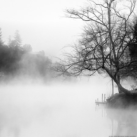 Fog on the Lake by Yellow Caf&#233; art print